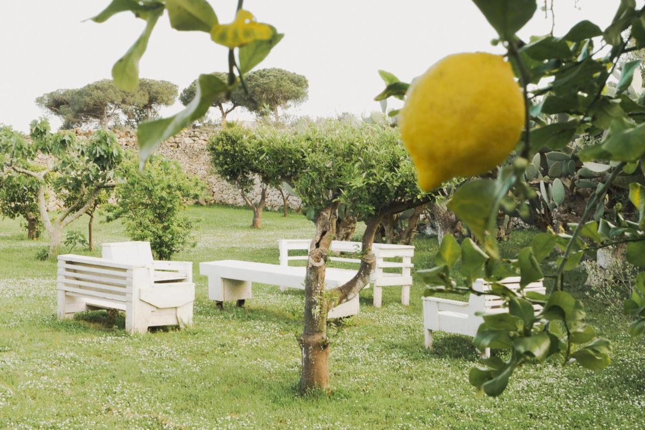 Bed and Breakfast Masseria Paralupi Lecce Zewnętrze zdjęcie