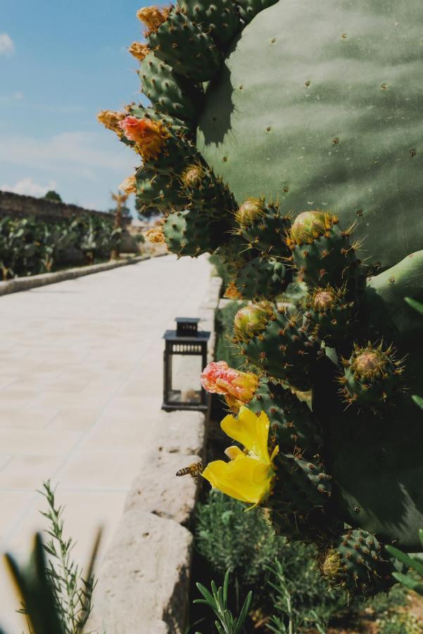 Bed and Breakfast Masseria Paralupi Lecce Zewnętrze zdjęcie